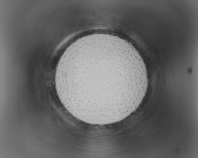 X0000115831208200912241949