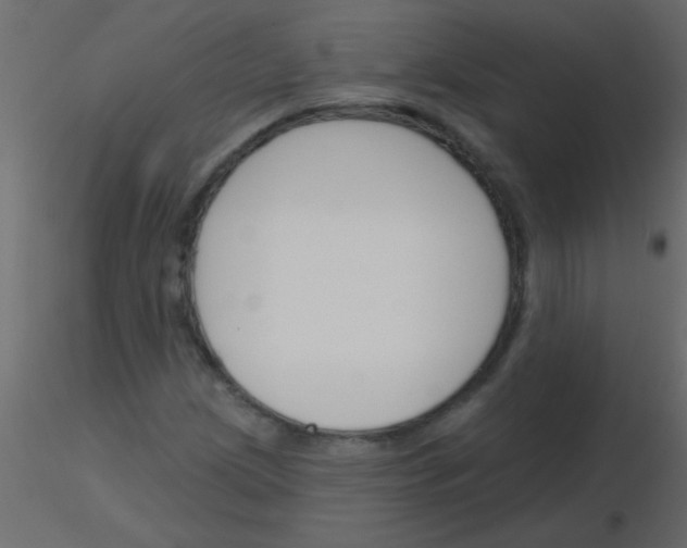 X0000115831209200912241949