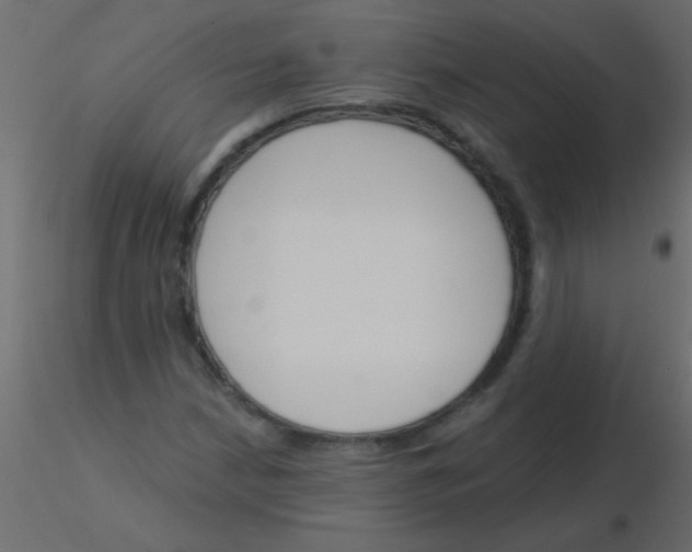 X0000115831210200912241949