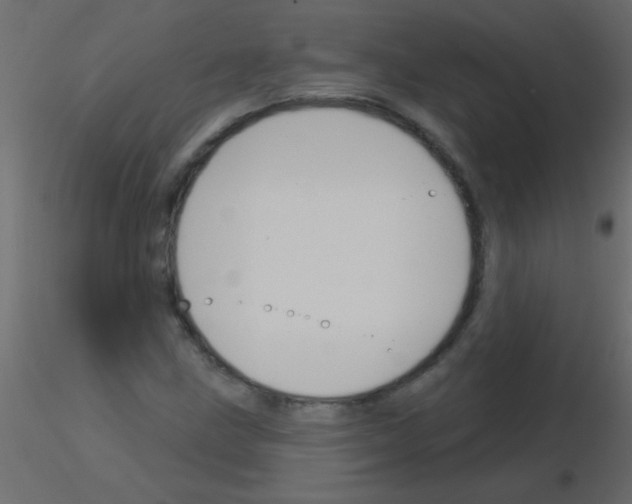 X0000115831211200912241949