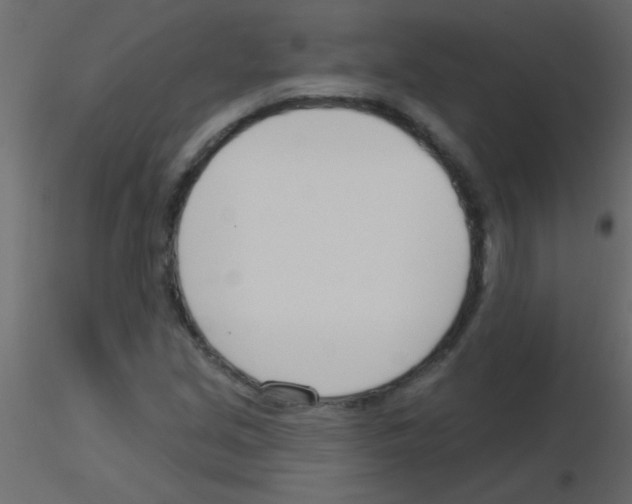 X0000115831213200912241949