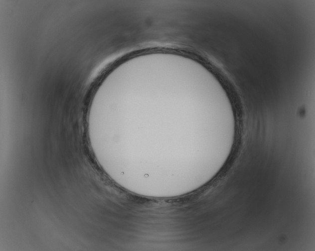 X0000115831214200912241949