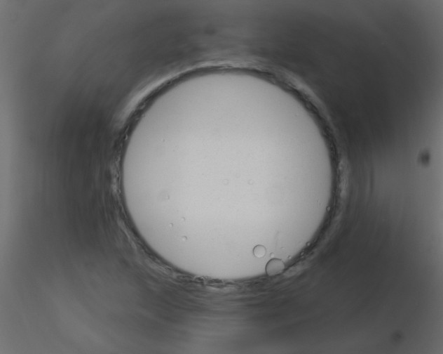 X0000115831215200912241949