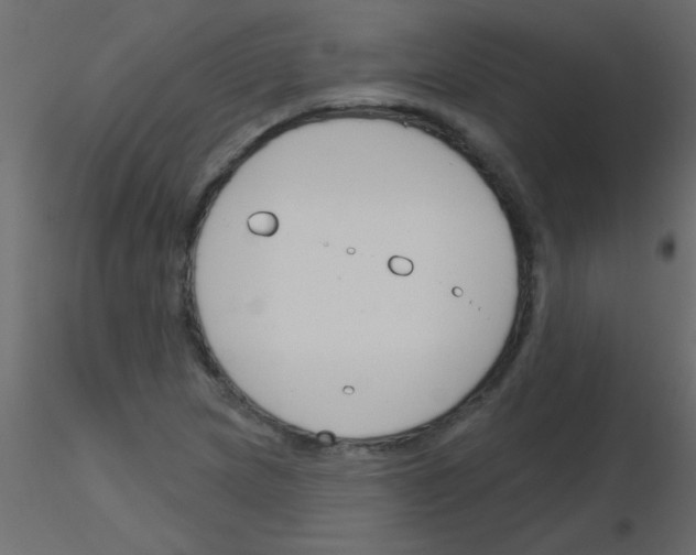 X0000115831217200912241949