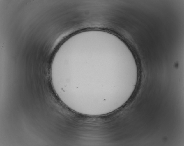 X0000115831218200912241949