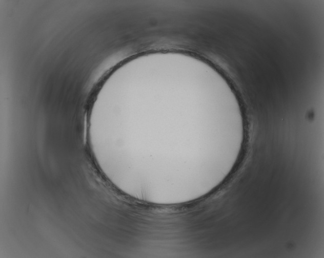 X0000115831219200912241949