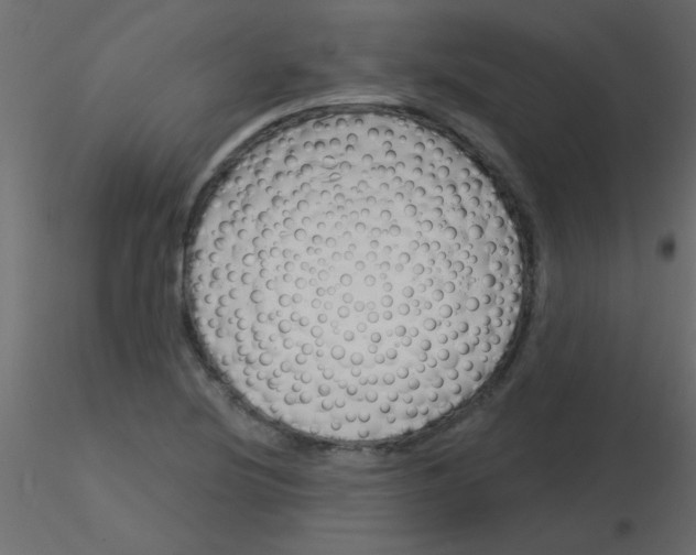 X0000115831220200912241949