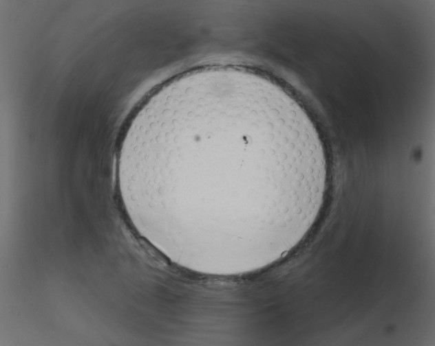 X0000115831221200912241949