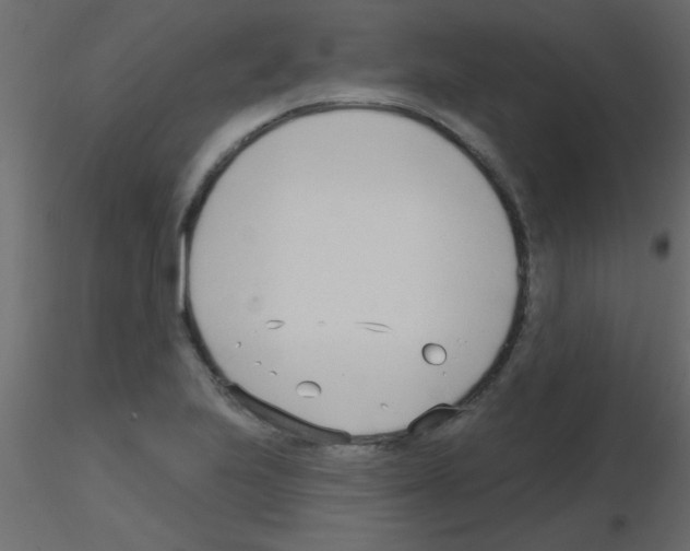 X0000115831223200912241949