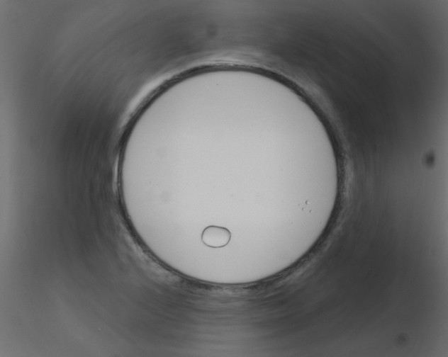 X0000115831224200912241949