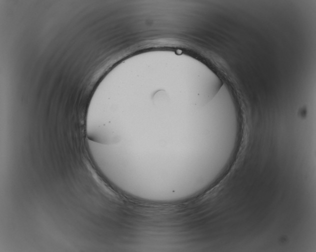 X0000115831225200912241949