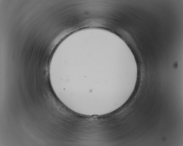 X0000115831226200912241949