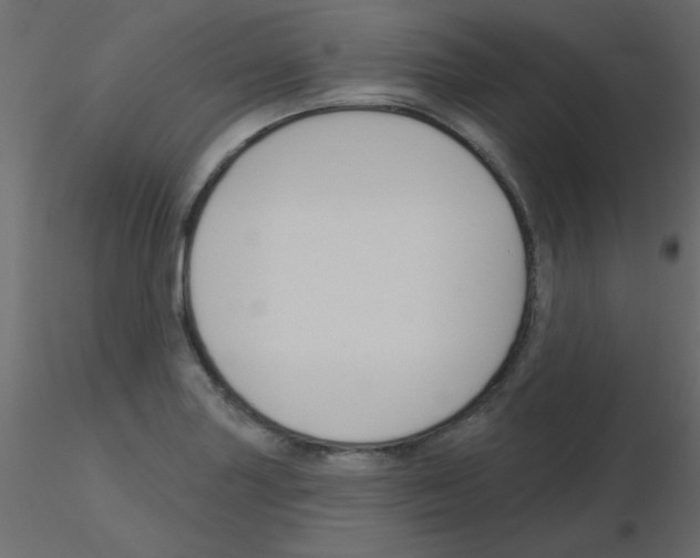 X0000115831227200912241949