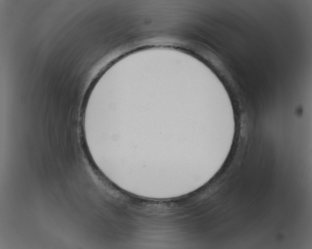 X0000115831229200912241949