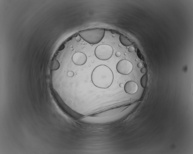 X0000115831231200912241949