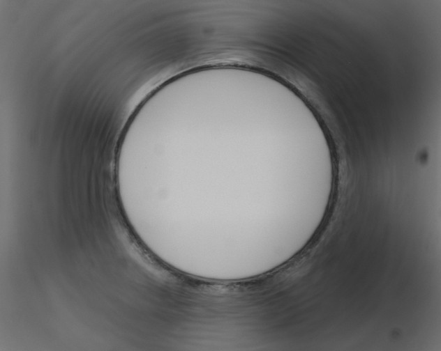 X0000115831234200912241949