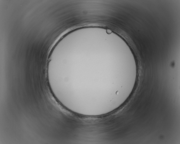 X0000115831236200912241949