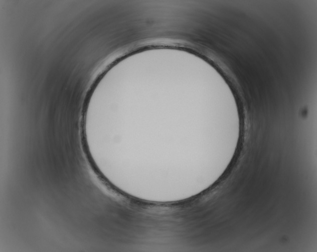 X0000115831237200912241949