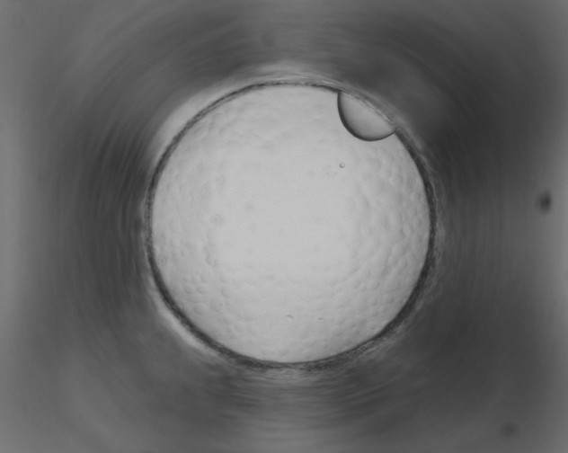 X0000115831239200912241949