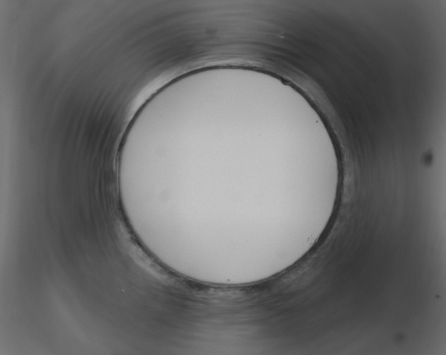 X0000115831242200912241949