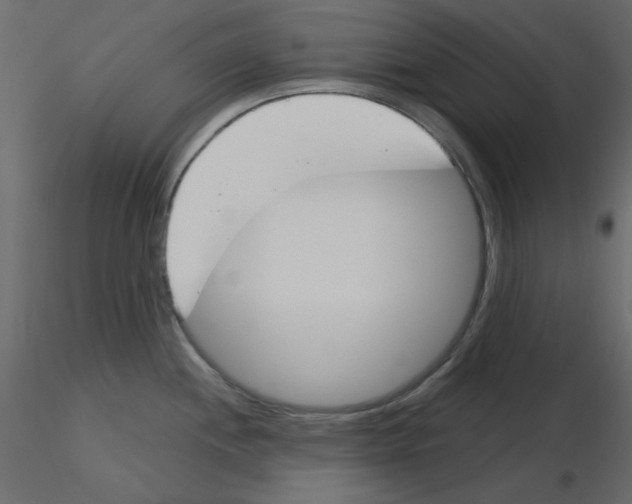 X0000115831244200912241949