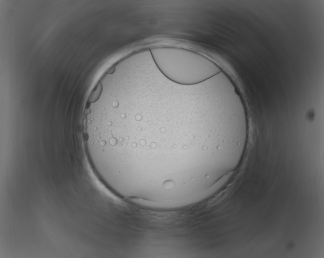 X0000115831247200912241949