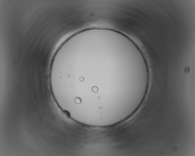 X0000115831248200912241949