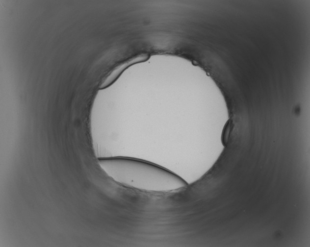 X0000115831249200912241949