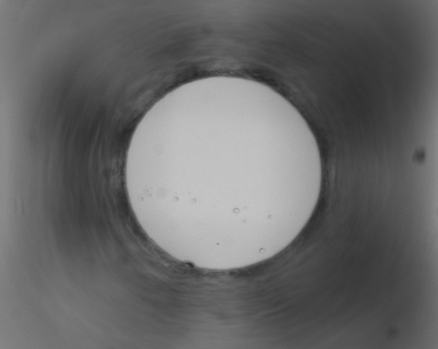 X0000115831250200912241948