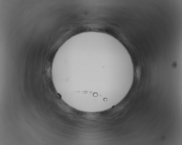 X0000115831251200912241948