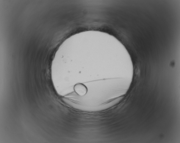 X0000115831252200912241948