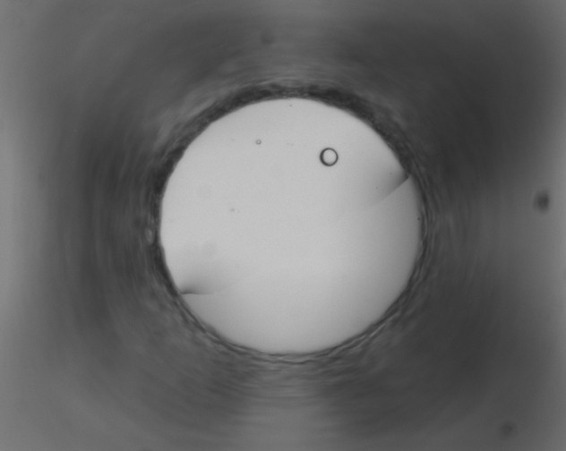 X0000115831253200912241948