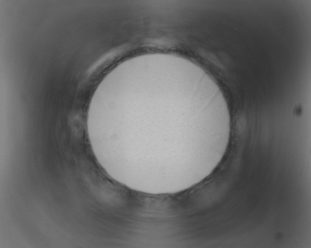 X0000115831254200912241948