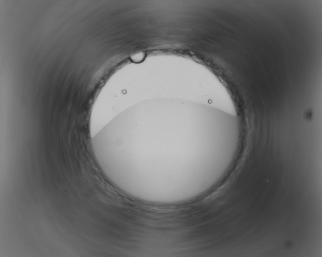 X0000115831257200912241948