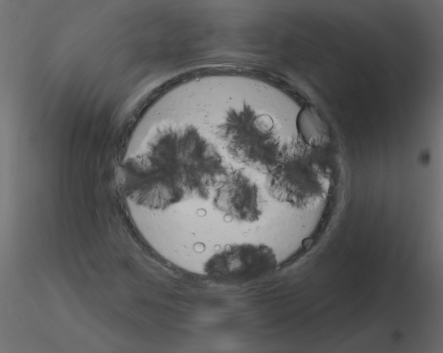 X0000115831259200912241948