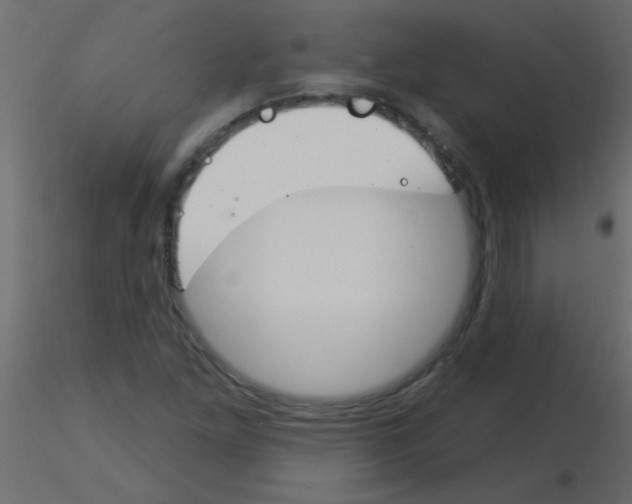 X0000115831261200912241948