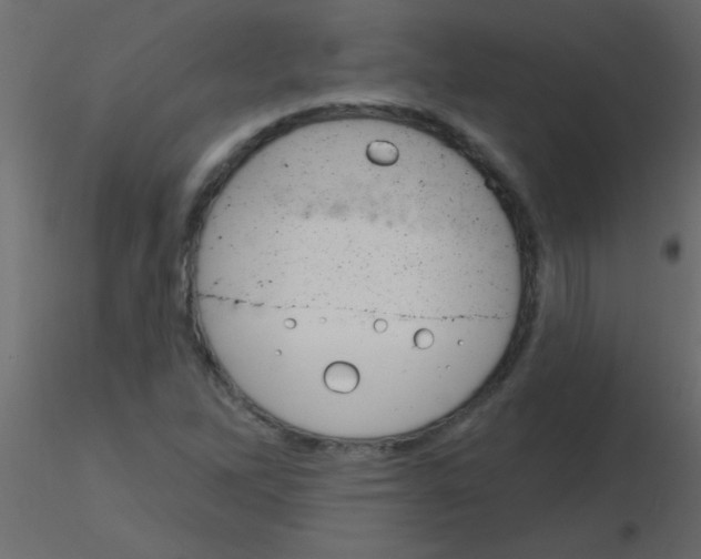 X0000115831262200912241948