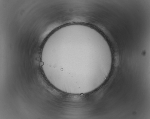 X0000115831266200912241948