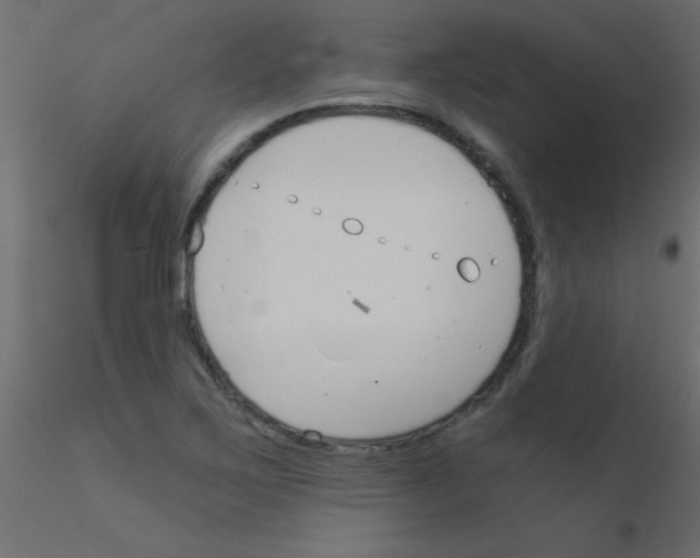 X0000115831267200912241948