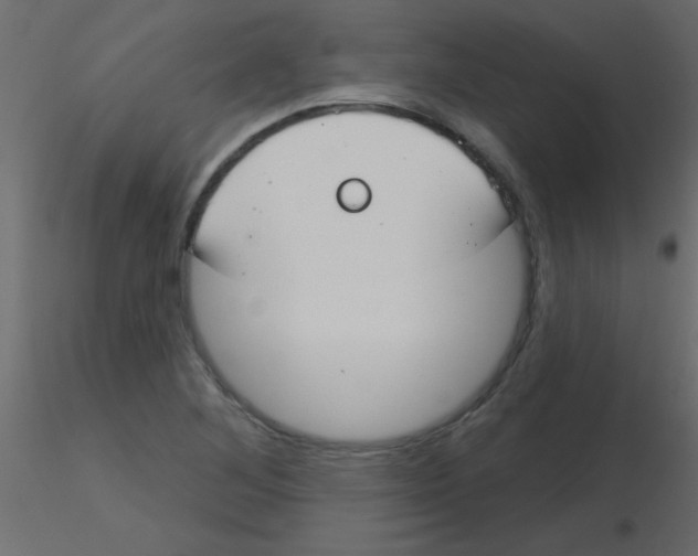 X0000115831268200912241948