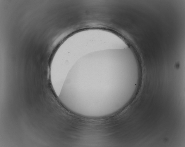 X0000115831269200912241948