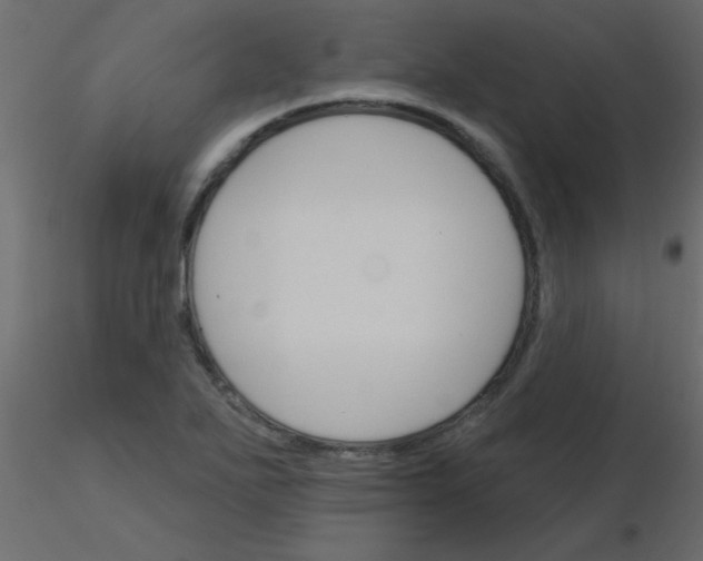 X0000115831271200912241948