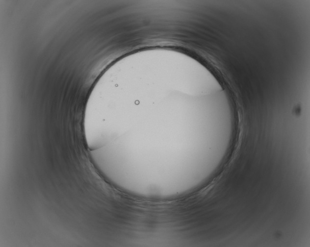 X0000115831273200912241948