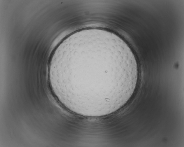 X0000115831274200912241948