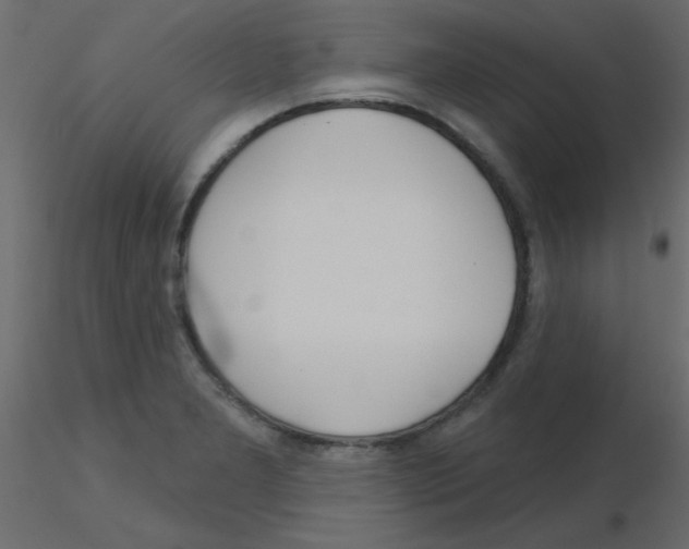 X0000115831277200912241948