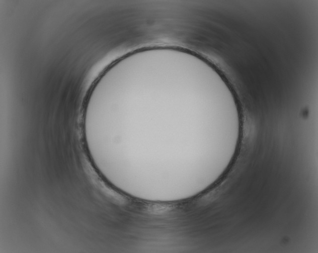 X0000115831278200912241948