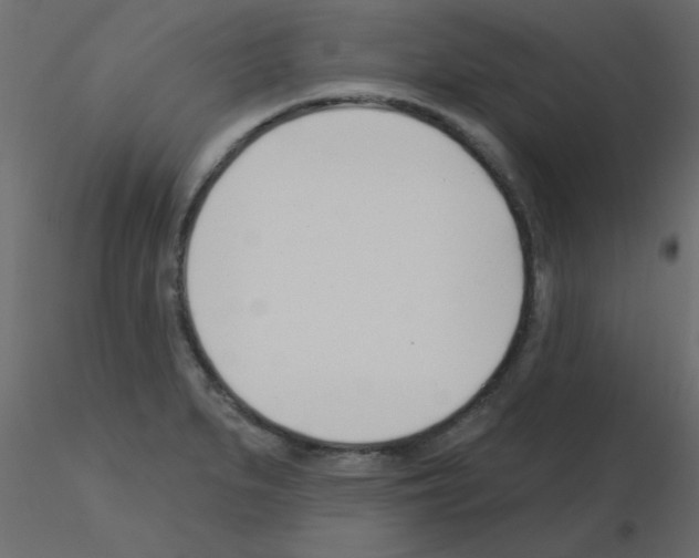 X0000115831279200912241948