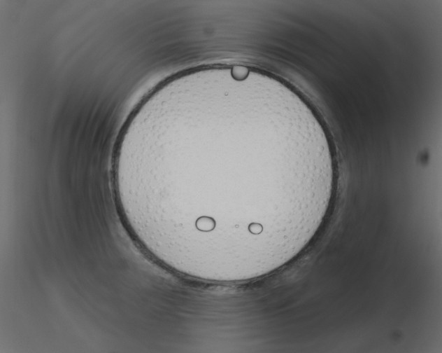 X0000115831283200912241948