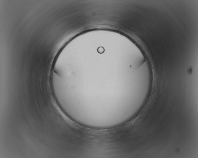 X0000115831285200912241948