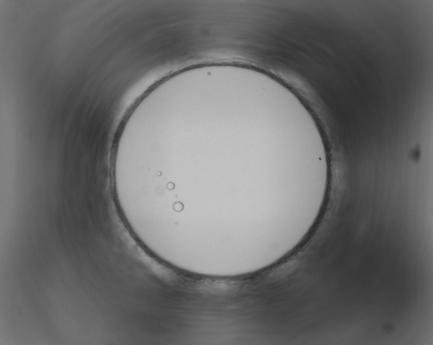 X0000115831286200912241948